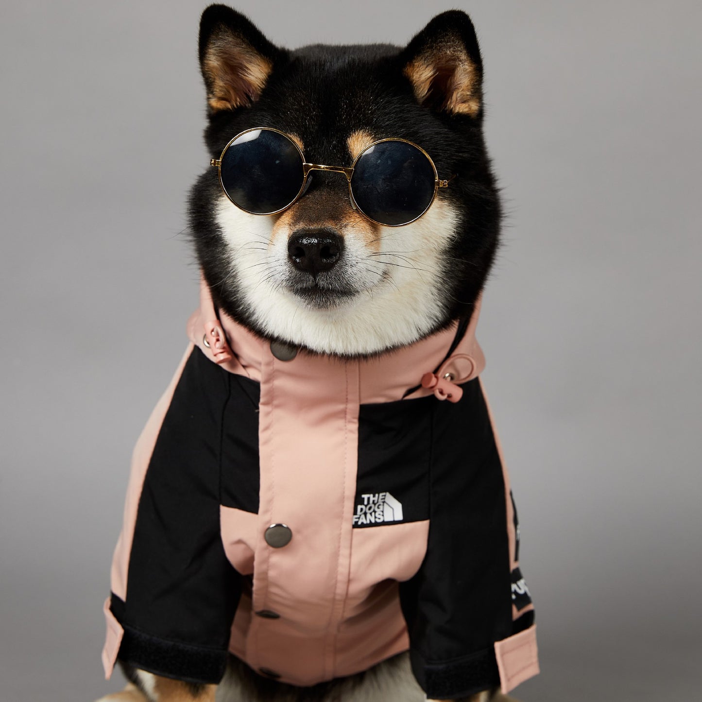 ArticPaws Pro Jacke – Rosa