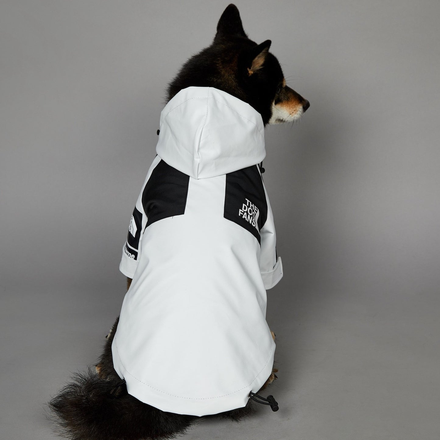 ArticPaws Pro Jacke – Weiß